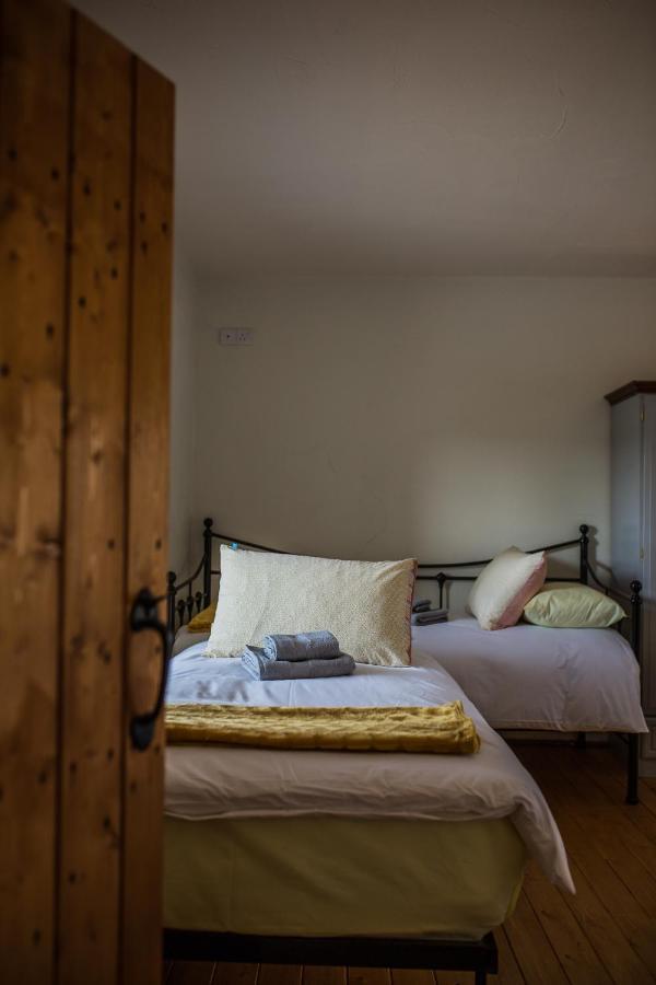 Dans Wee Cottage Slieve Croob Dromara Castlewellan Newcastle Eksteriør billede