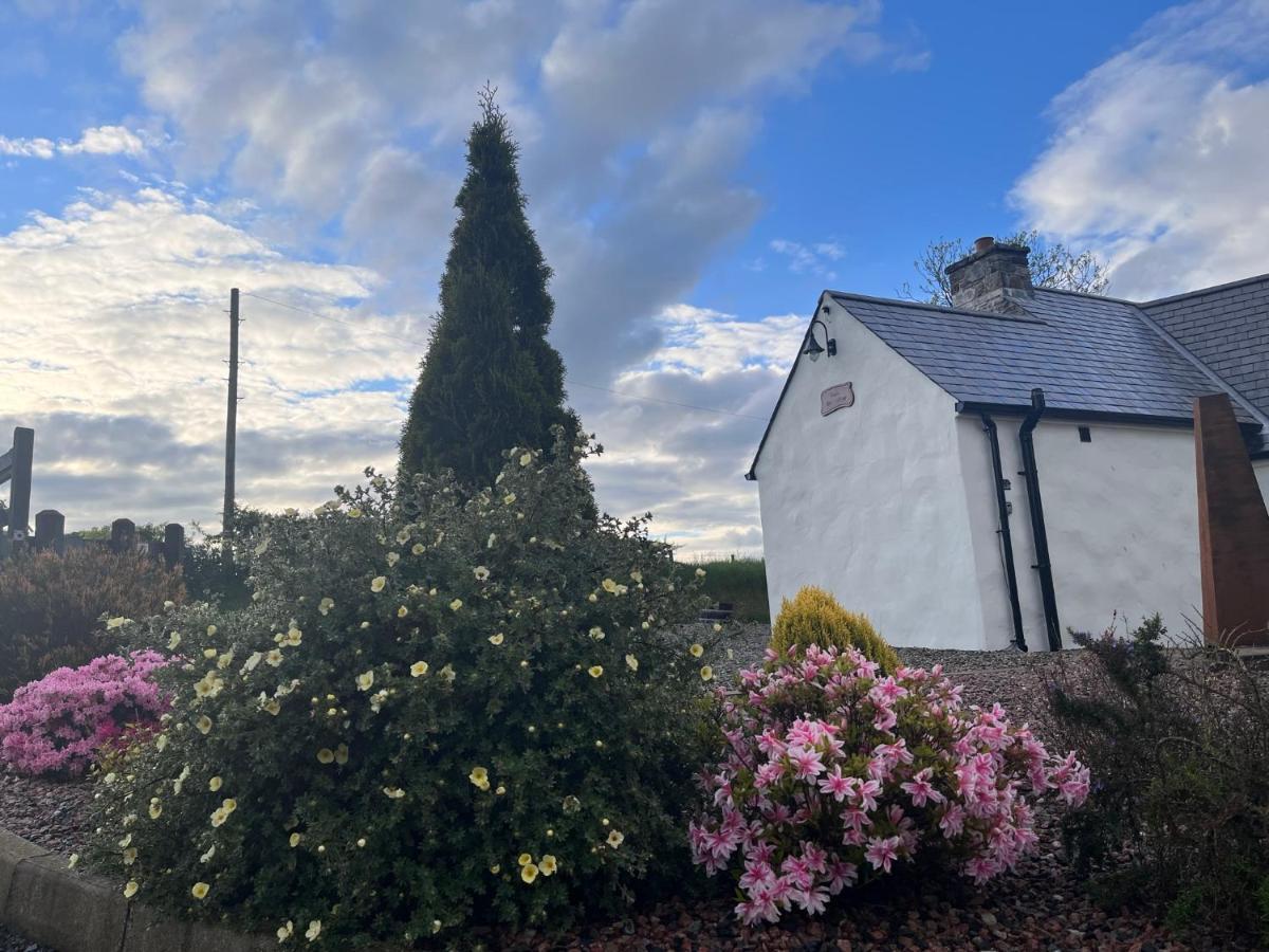 Dans Wee Cottage Slieve Croob Dromara Castlewellan Newcastle Eksteriør billede