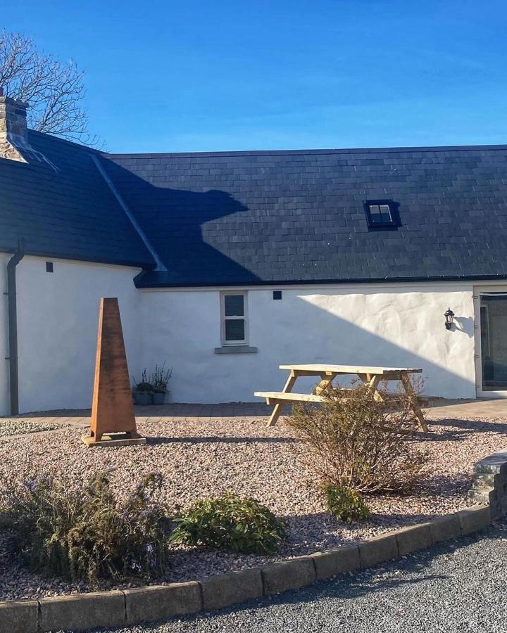 Dans Wee Cottage Slieve Croob Dromara Castlewellan Newcastle Eksteriør billede