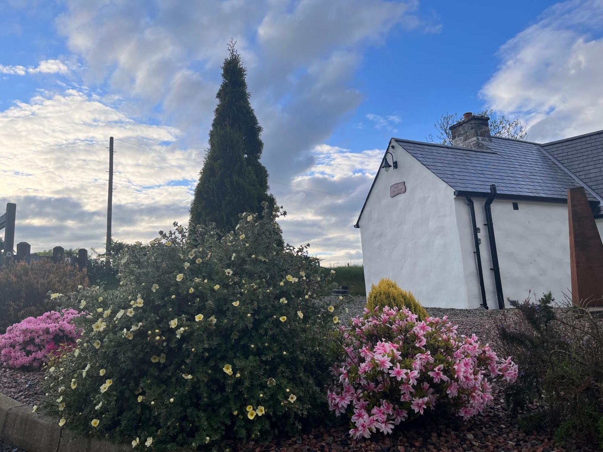 Dans Wee Cottage Slieve Croob Dromara Castlewellan Newcastle Eksteriør billede